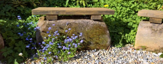 Steinerne Bank mit Blume