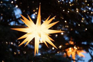 Weihnachtsstern