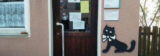 Katze Haus