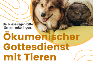 Ein Hund und eine Katze liegen friedlich nebeneinander